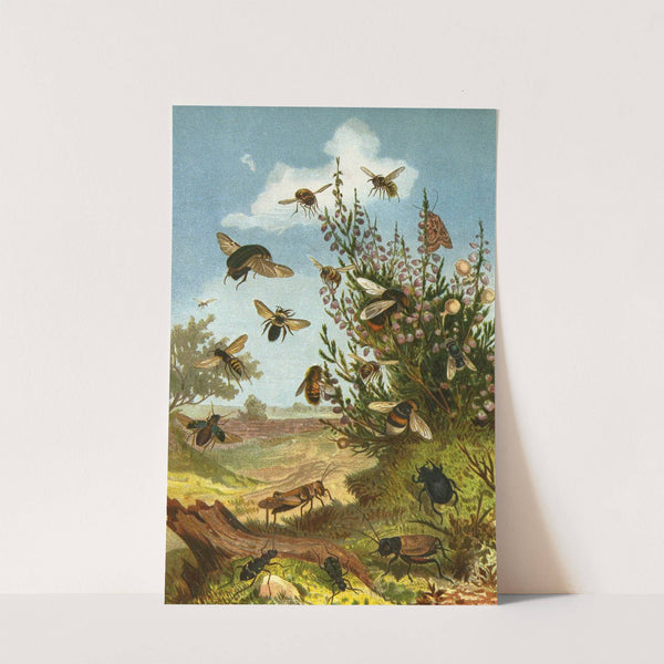 Die Insekten, Tausendfüssler und Spinnen Pl 08 by Alfred Edmund Brehm