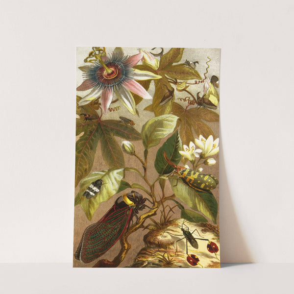 Die Insekten, Tausendfüssler und Spinnen Pl 09 by Alfred Edmund Brehm