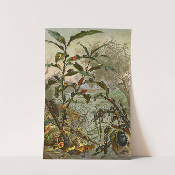 Die Insekten, Tausendfüssler und Spinnen Pl 10 by Alfred Edmund Brehm