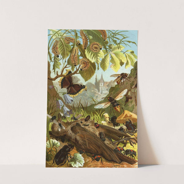 Die Insekten, Tausendfüssler und Spinnen Pl 11 by Alfred Edmund Brehm