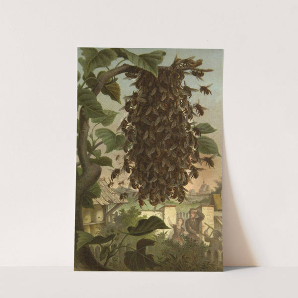 Die Insekten, Tausendfüssler und Spinnen Pl 16 by Alfred Edmund Brehm