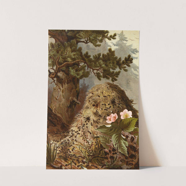 Die Insekten, Tausendfüssler und Spinnen Pl 17 by Alfred Edmund Brehm