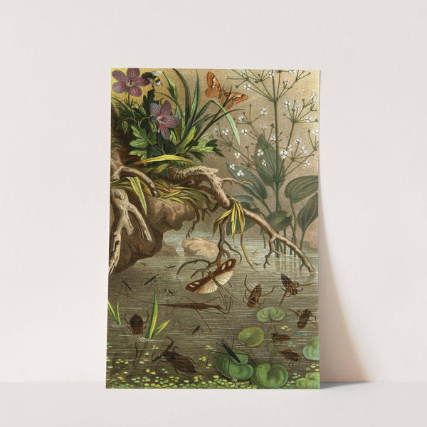 Die Insekten, Tausendfüssler und Spinnen Pl 20 by Alfred Edmund Brehm