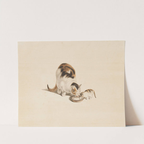 Die Milchschüssel by Gottfried Mind