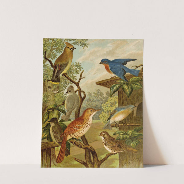 Die Nordamerikanische Vogelwelt pl06 by Christian Anton Goering