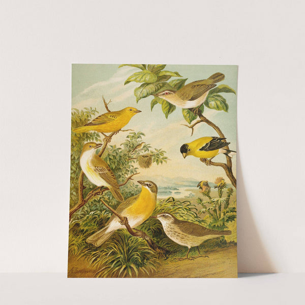 Die Nordamerikanische Vogelwelt pl16 by Christian Anton Goering