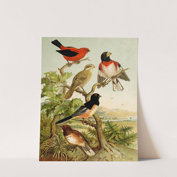 Die Nordamerikanische Vogelwelt pl26 by Christian Anton Goering