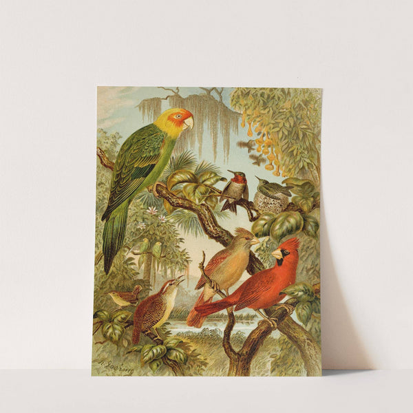 Die Nordamerikanische Vogelwelt pl27 by Christian Anton Goering