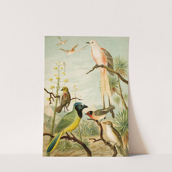 Die Nordamerikanische Vogelwelt pl32 by Christian Anton Goering