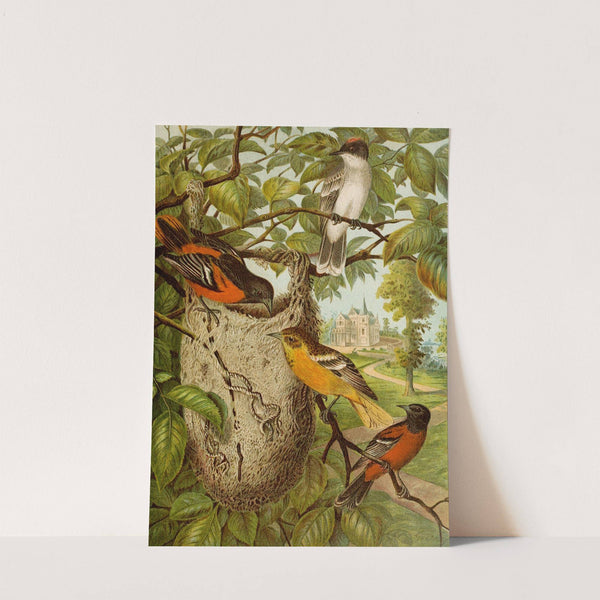 Die Nordamerikanische Vogelwelt pl33 by Christian Anton Goering