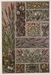 Die Pflanze in Kunst und Gewerbe Pl.016