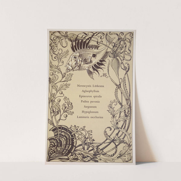 Die Pflanze in Kunst und Gewerbe Pl.034 by Anton Seder