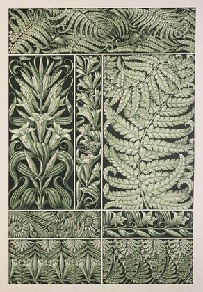 Die Pflanze in Kunst und Gewerbe Pl.104