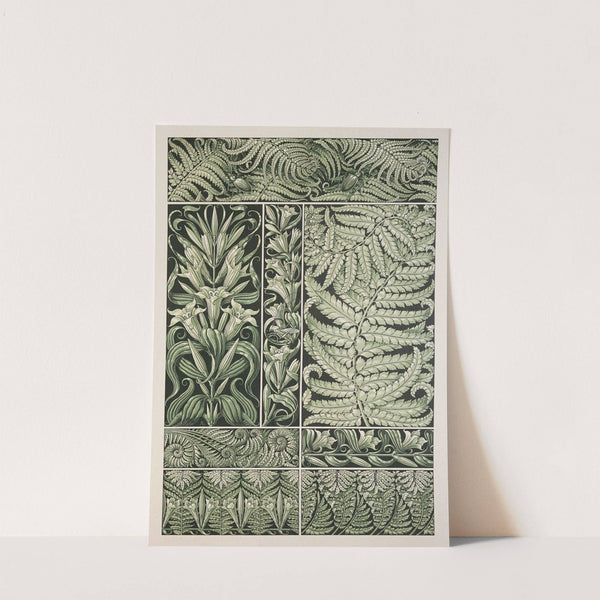 Die Pflanze in Kunst und Gewerbe Pl.104 by Anton Seder