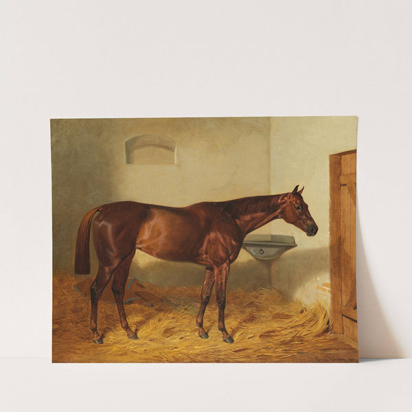 Die Stute 'Kincsem' by Emil Adam