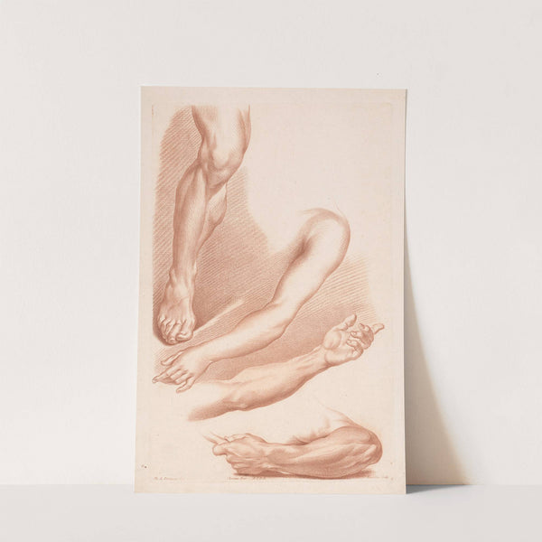 Different views of a leg and arms (1749-1849) by Louis-François Roubiliac