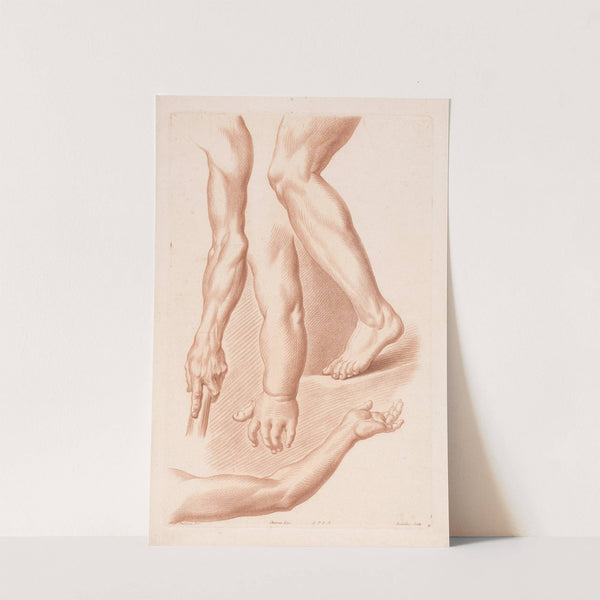 Different views of a leg and three arms (1749-1849) by Louis-François Roubiliac