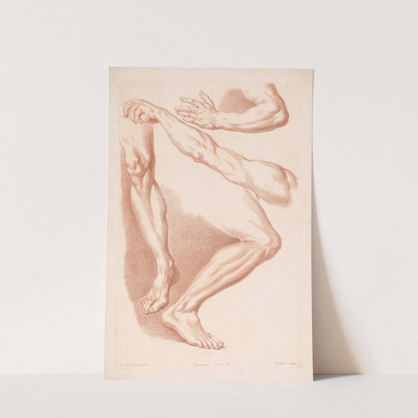 Different views of two legs and two arms (1749-1849) by Louis-François Roubiliac