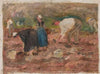 Digging potatoes