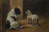 Dignity And Impudence