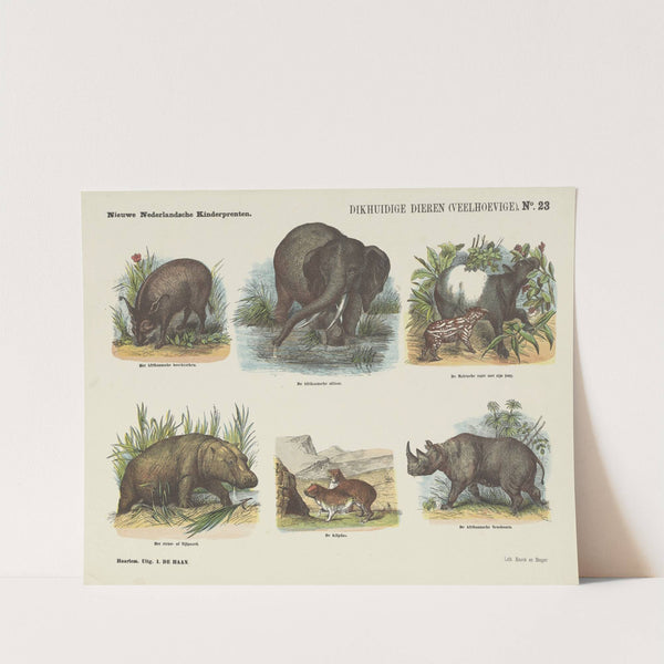 Dikhuidige dieren (veelhoevige) (1875-1919) by Emrik & Binger