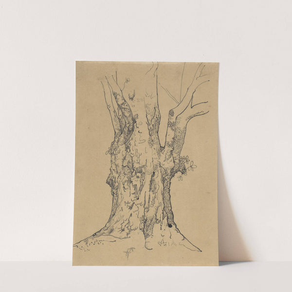 Dikke boomstam by Richard Nicolaüs Roland Holst