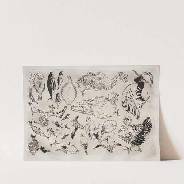 Dinner Service (Rousseau service); Ducks, fish, etc. (no. 12) (1866) by Félix Bracquemond