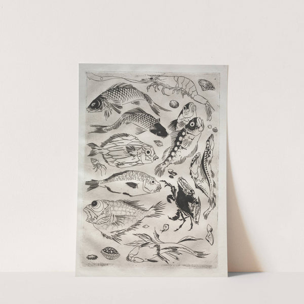 Dinner Service (Rousseau service); Fish (no. 24) (1866) by Félix Bracquemond