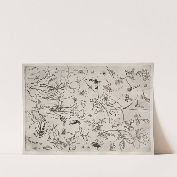 Dinner Service (Rousseau service); Flowers and Insects (no. 15) (1866) by Félix Bracquemond