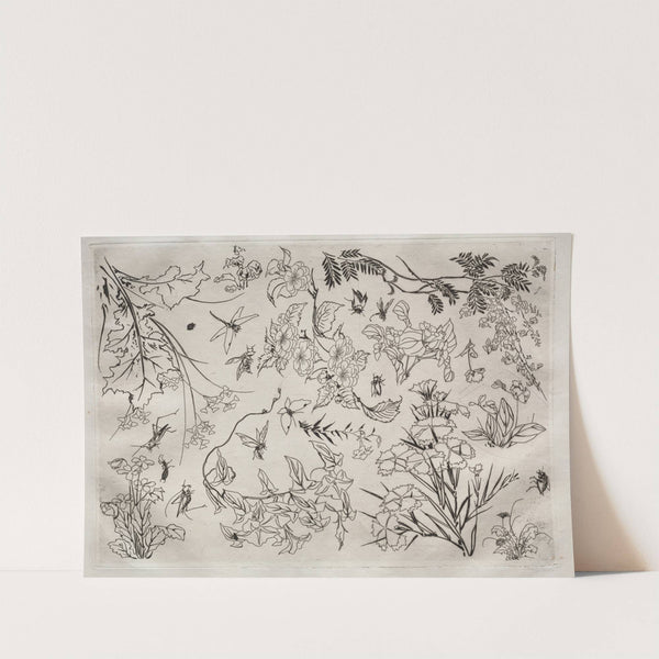 Dinner Service (Rousseau service); Flowers (no. 22) (1866) by Félix Bracquemond