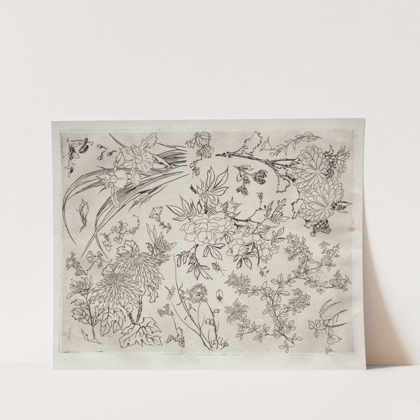 Dinner Service (Rousseau service); Flowers (no. 23) (1866) by Félix Bracquemond