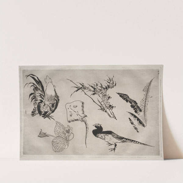 Dinner Service (Rousseau service); Roosters, skate, plants, etc. (no. 9) (1866) by Félix Bracquemond