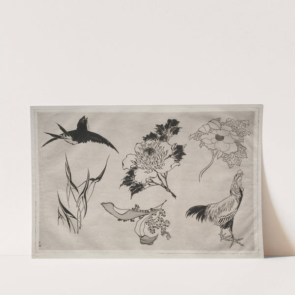 Dinner Service (Rousseau service); Swallow, Rooster and Flowers (no. 8) (1866) by Félix Bracquemond