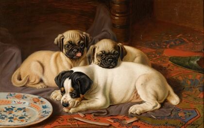 Dinner, Two Pugs And A Terrier — size preview