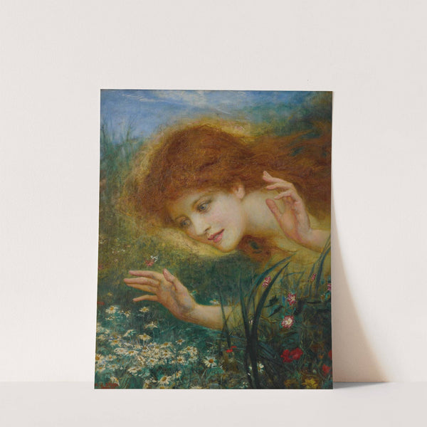 Discovering Daisies by Henry John Stock