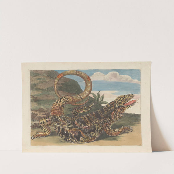 Dissertation sur la generation et les transformations des insectes de Surinam Pl.21 (1705) by Maria Sibylla Merian