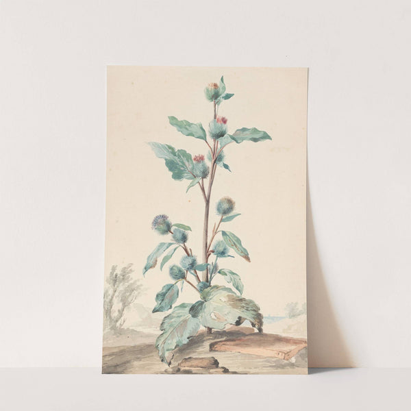 Distel (1725 - 1792) by Aert Schouman