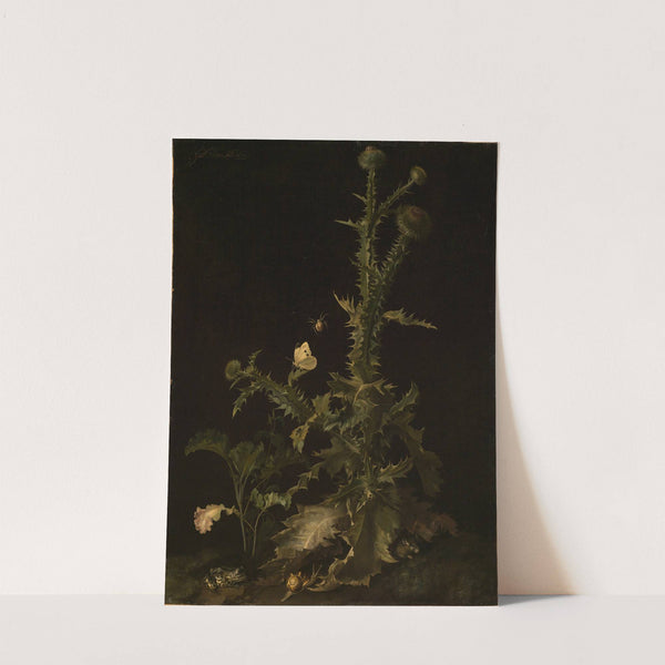 Distel mit verschiedenen Tieren by Willem van Aelst