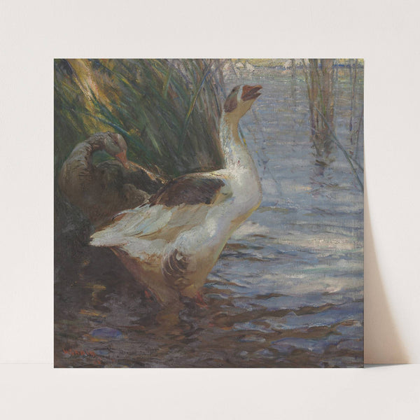 Disturbed (1908) by Henry Keller