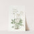 Diverging Wood Sorrel by Sydenham Edwards