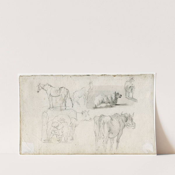 Diverse dieren by Barend Hendrik Thier