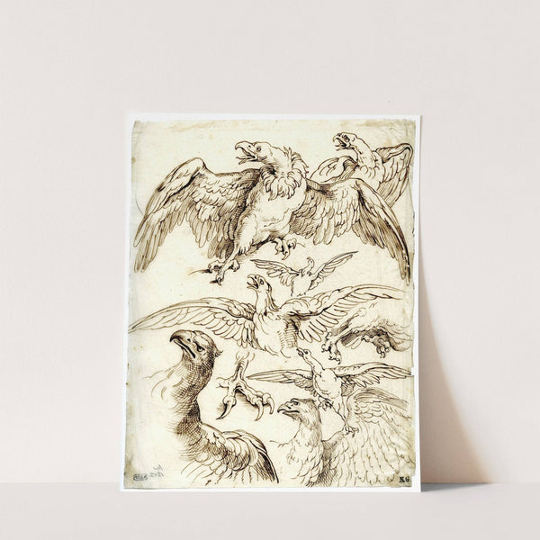 Diverse roofvogels: adelaars en gieren by David Humbert de Superville