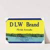 DLW Brand Florida Avocados Label (1930-1950)