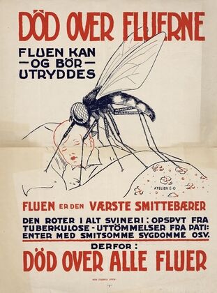 Död over fluerne; fluen kan – og bör – utryddes