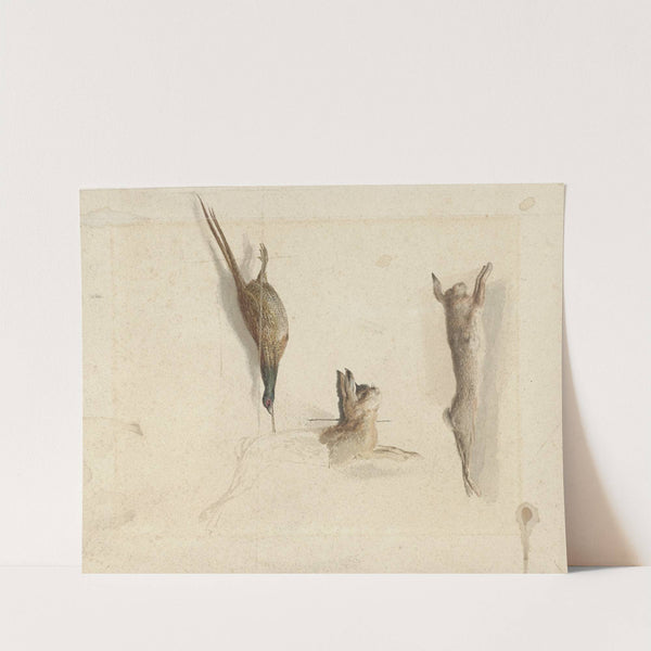 Dode fazant en twee dode hazen by Reinier Craeyvanger