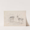Doe and Buck by Sawrey Gilpin