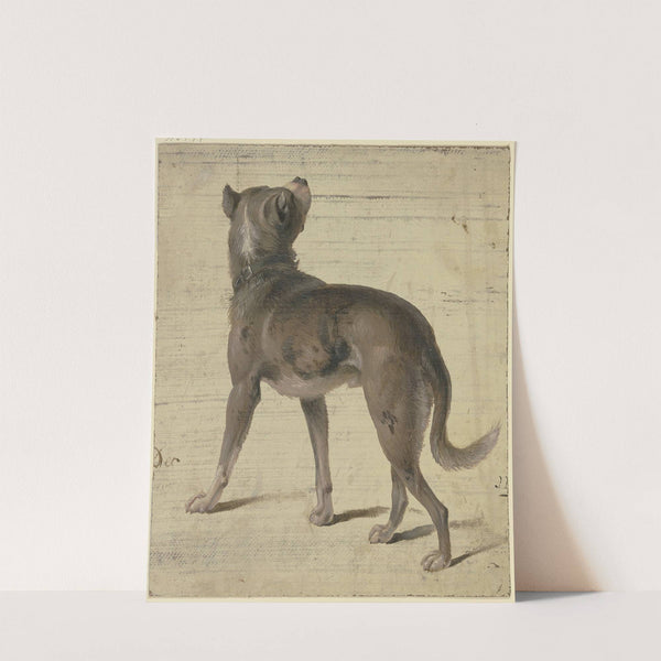 Dog by Philipp Rumpf