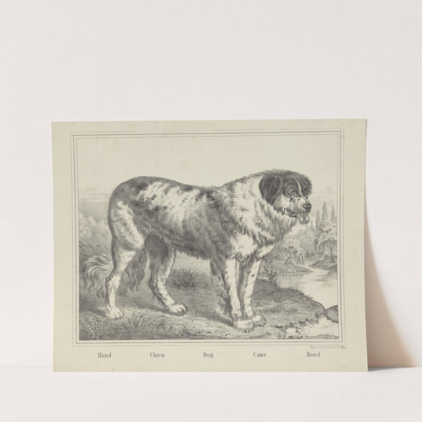 Dog (1829-1880) by Joseph Scholz