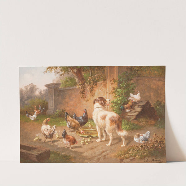 Dog among chicken by Adolf Nowey