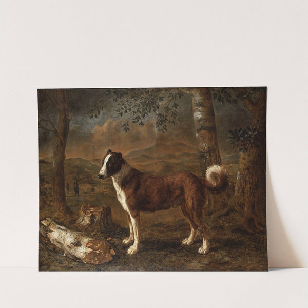 Dog and a Birch Log by Govert Dircksz Camphuysen